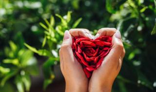 完成轮回任务怎么做